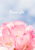 F&ecirc;te d&eacute;licate au parfum floral doux